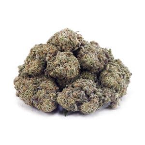 Buy Blackberry Punch AA at Supreme Dispensary