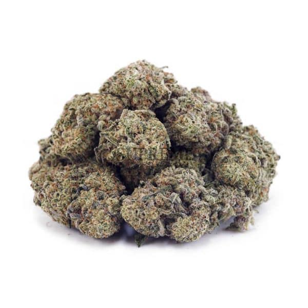 Buy Blackberry Punch AA at Supreme Dispensary Buy Blackberry Punch AA at Supreme Dispensary