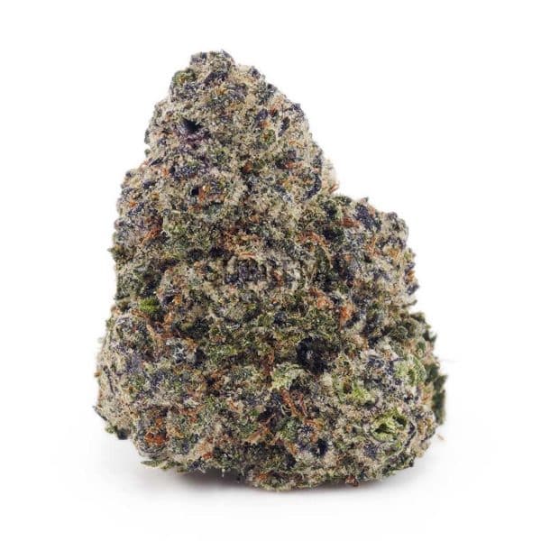 Buy Sunset Sherbert AAAA at Supreme Dispensary