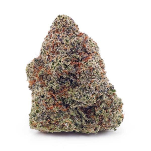 Buy Orange Crush AAAA at Supreme Dispensary Buy Orange Crush AAAA at Supreme Dispensary