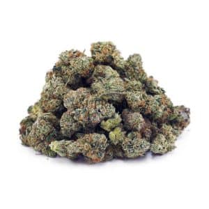 Buy Green Goblin AAAA - (Popcorn Buds) at Supreme Dispensary