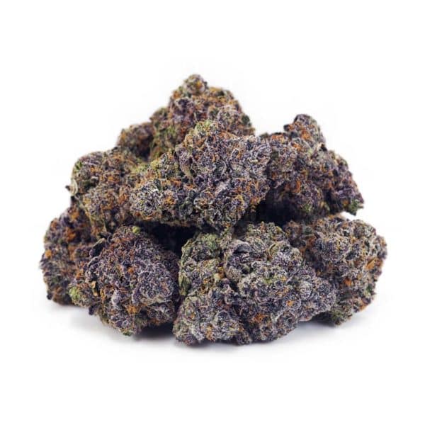Buy Jet Fuel Gelato (Craft Cannabis) at Supreme Dispensary