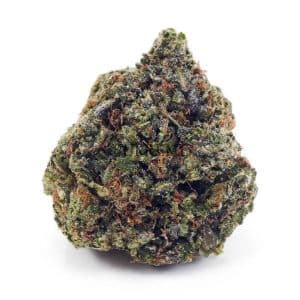 Buy Hindu Kush AAAA at Supreme Dispensary