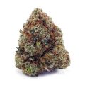 Buy Golden Goat AAA at Supreme Dispensary