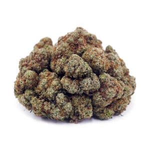 Buy Golden Goat AAA at Supreme Dispensary