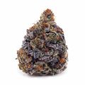 Buy Purple Punch AAAA at Supreme Dispensary