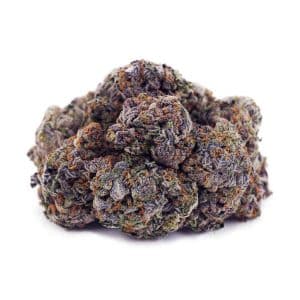 Buy Purple Punch AAAA at Supreme Dispensary