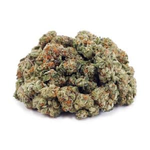 Buy White Biscotti AAAA - (Popcorn Buds) at Supreme Dispensary