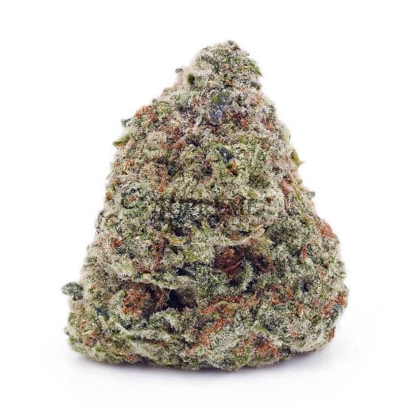 Buy Mataro Blue AAA at Supreme Dispensary Buy Mataro Blue AAA at Supreme Dispensary