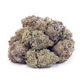 Buy Motor Breath (Craft Cannabis) at Supreme Dispensary