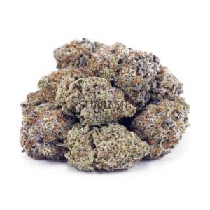 Buy Motor Breath (Craft Cannabis) at Supreme Dispensary