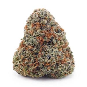 Buy Chocolate Kush AAAA at Supreme Dispensary