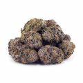 Buy Purple Haze AAA at Supreme Dispensary