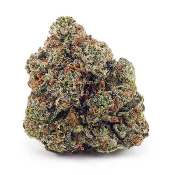 Buy Godfather OG AAA at Supreme Dispensary