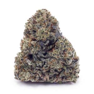 Buy Apple Fritter (Craft Cannabis) at Supreme Dispensary