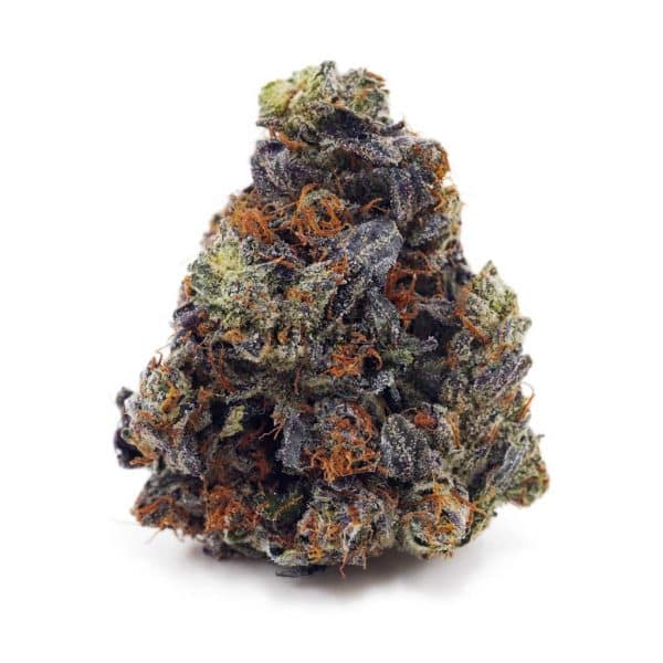 Buy Master Yoda AAA at Supreme Dispensary
