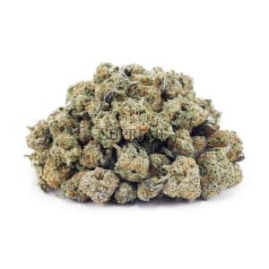 Buy Platinum Cookies AAAA - (Popcorn Buds) at Supreme Dispensary
