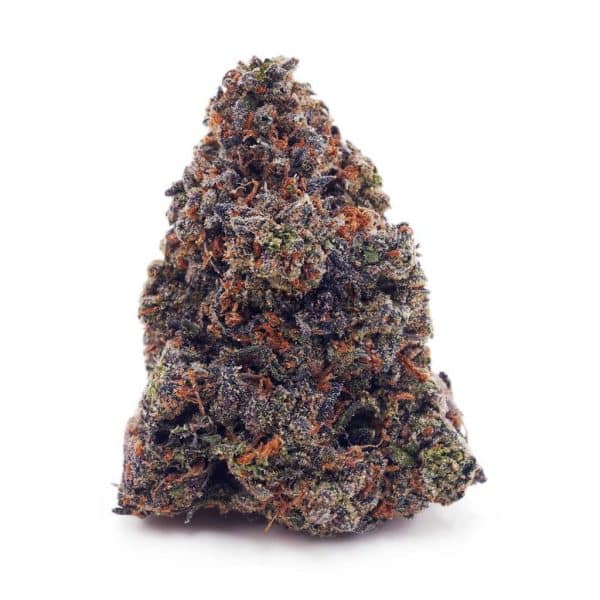 Buy Purple Runtz AA at Supreme Dispensary