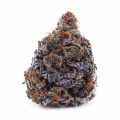 Buy Granddaddy Purple AAA at Supreme Dispensary