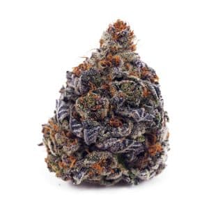 Buy Granddaddy Purple AAA at Supreme Dispensary