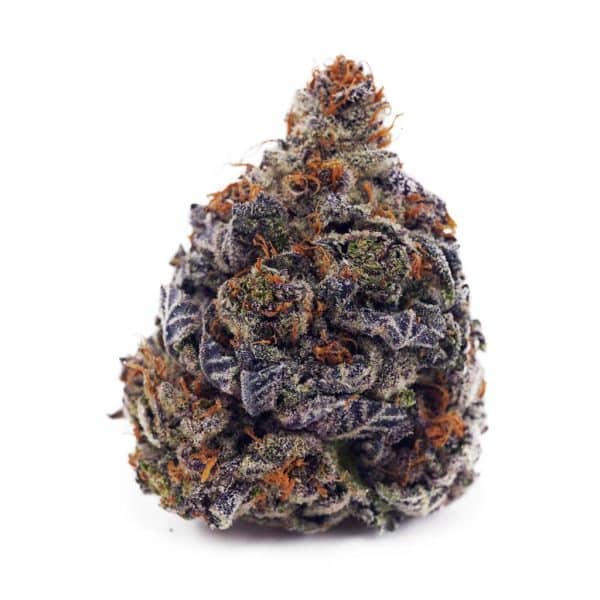 Buy Granddaddy Purple AAA at Supreme Dispensary