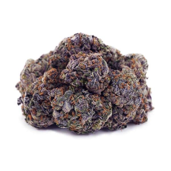 Buy Granddaddy Purple AAA at Supreme Dispensary Buy Granddaddy Purple AAA at Supreme Dispensary