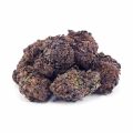 Buy Purple Haze AAA at Supreme Dispensary