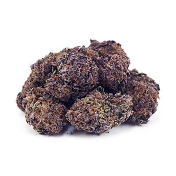 Buy Purple Haze AAA at Supreme Dispensary Buy Purple Haze AAA at Supreme Dispensary