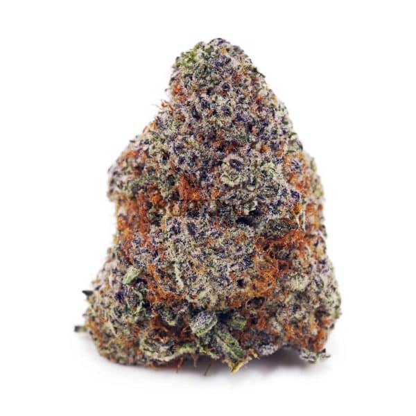 Buy Tangerine Dream AAA at Supreme Dispensary Buy Tangerine Dream AAA at Supreme Dispensary