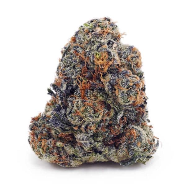 Buy Papaya Punch AAA at Supreme Dispensary Buy Papaya Punch AAA at Supreme Dispensary