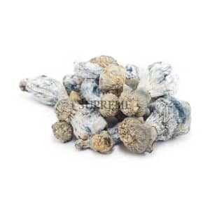Buy Mushrooms – Blue Ghost at Supreme Dispensary