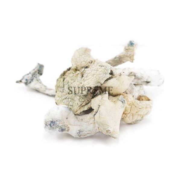 Buy Mushrooms – Extra Terrestrial at Supreme Dispensary Buy Mushrooms – Extra Terrestrial at Supreme Dispensary