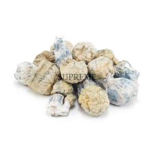 Buy Mushrooms – Iceberg (Exotic) at Supreme Dispensary