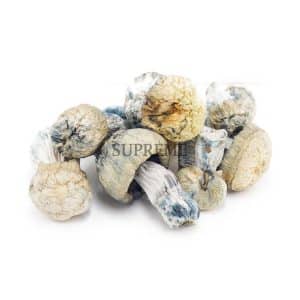 Buy Mushrooms – Jack Frost (Exotic) at Supreme Dispensary