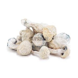 Buy Mushrooms – Snow White (Exotic) at Supreme Dispensary