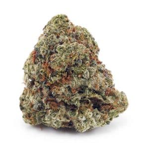 Buy King Louis XII AA at Supreme Dispensary