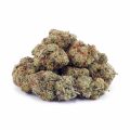 Buy King Louis XII AA at Supreme Dispensary