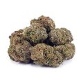 Buy Durban Poison AA at Supreme Dispensary