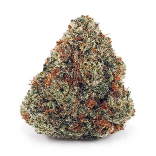 Buy Banana Mintz AAAA at Supreme Dispensary Buy Banana Mintz AAAA at Supreme Dispensary