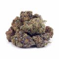 Buy Melonade AAA at Supreme Dispensary