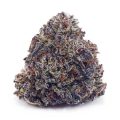 Buy Budzilla (Craft Cannabis) at Supreme Dispensary