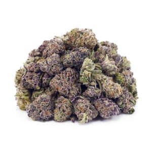 Buy Gary Payton AAAA - (Popcorn Buds) at Supreme Dispensary