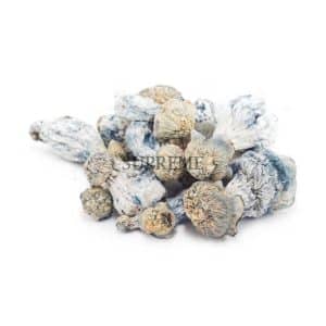 Buy Mushrooms – Blue Ghost (Exotic) at Supreme Dispensary