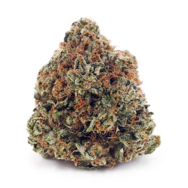 Buy Pineapple Godbud AAAA at Supreme Dispensary Buy Pineapple Godbud AAAA at Supreme Dispensary