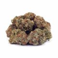 Buy Pineapple Godbud AAAA at Supreme Dispensary