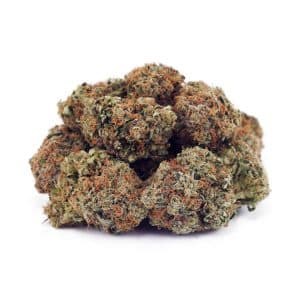 Buy Pineapple Godbud AAAA at Supreme Dispensary