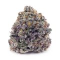 Buy Critical Kush AAAA at Supreme Dispensary