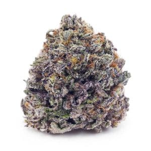Buy Critical Kush AAAA at Supreme Dispensary