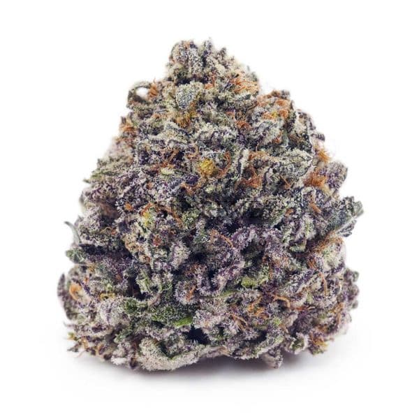 Buy Critical Kush AAAA at Supreme Dispensary