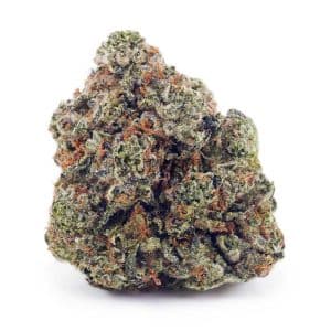 Buy Triangle Kush AAA at Supreme Dispensary